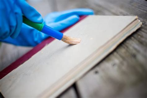 How to Clean Mold off Books: A Comprehensive Guide with Multiple Views