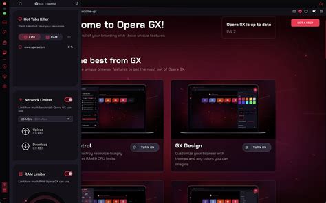 how to zoom on opera gx and why it matters for web browsing experience